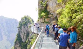 遥知兄弟登高处下句